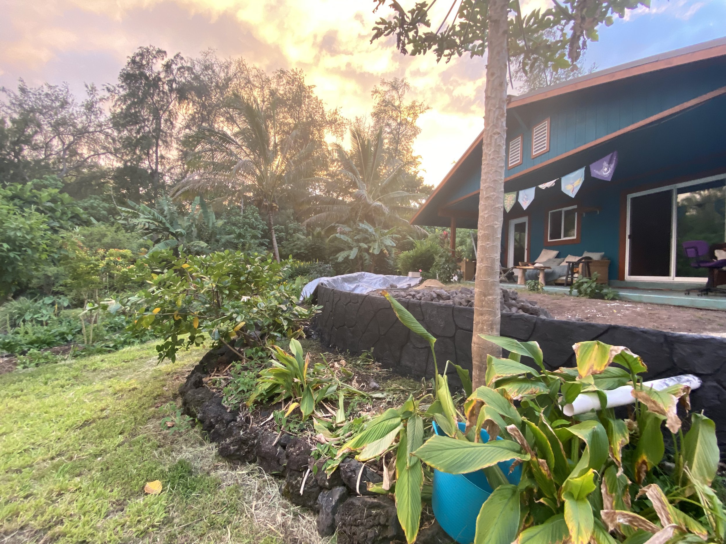 Mauriora Gardens