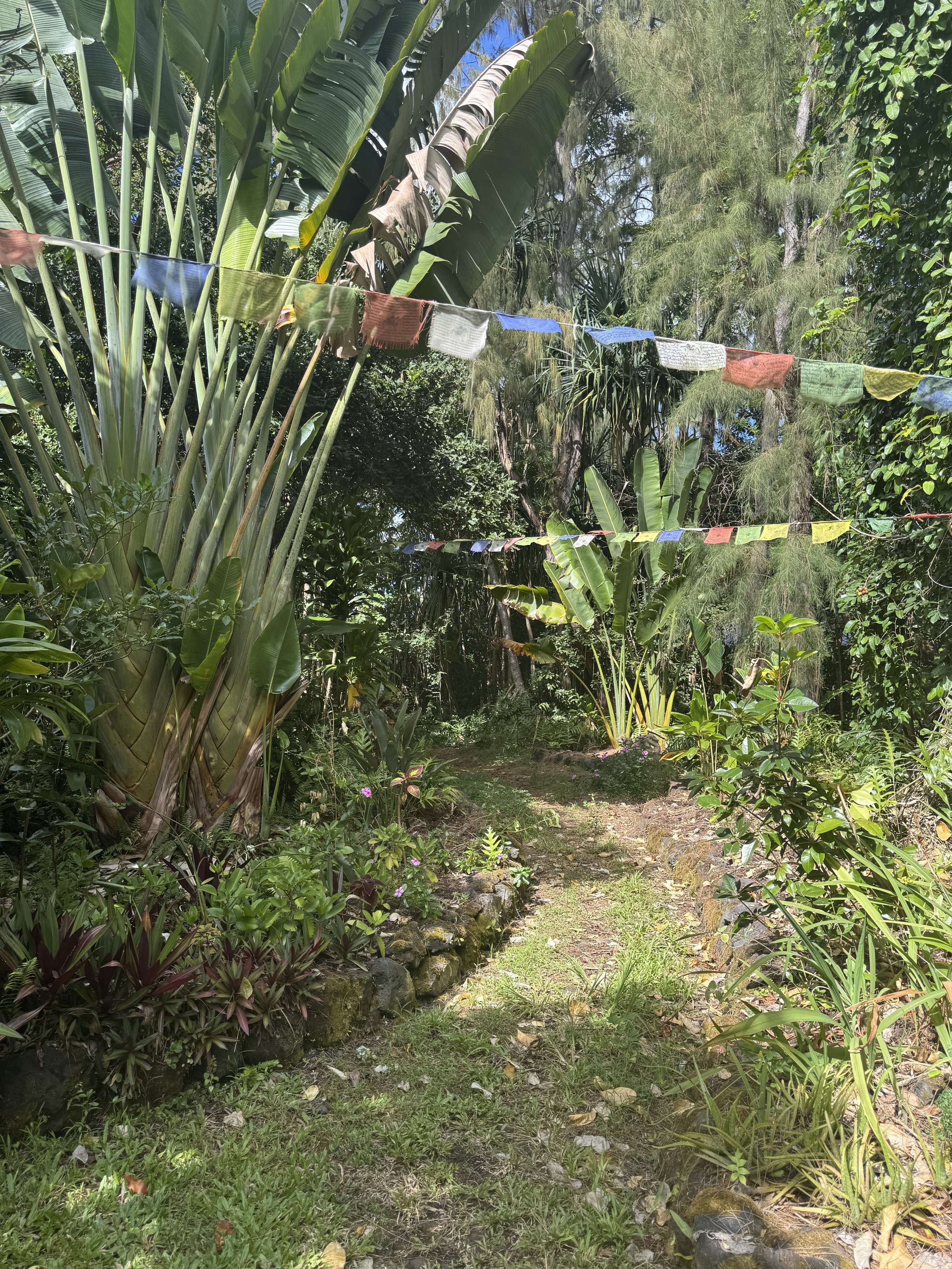 healing workshops