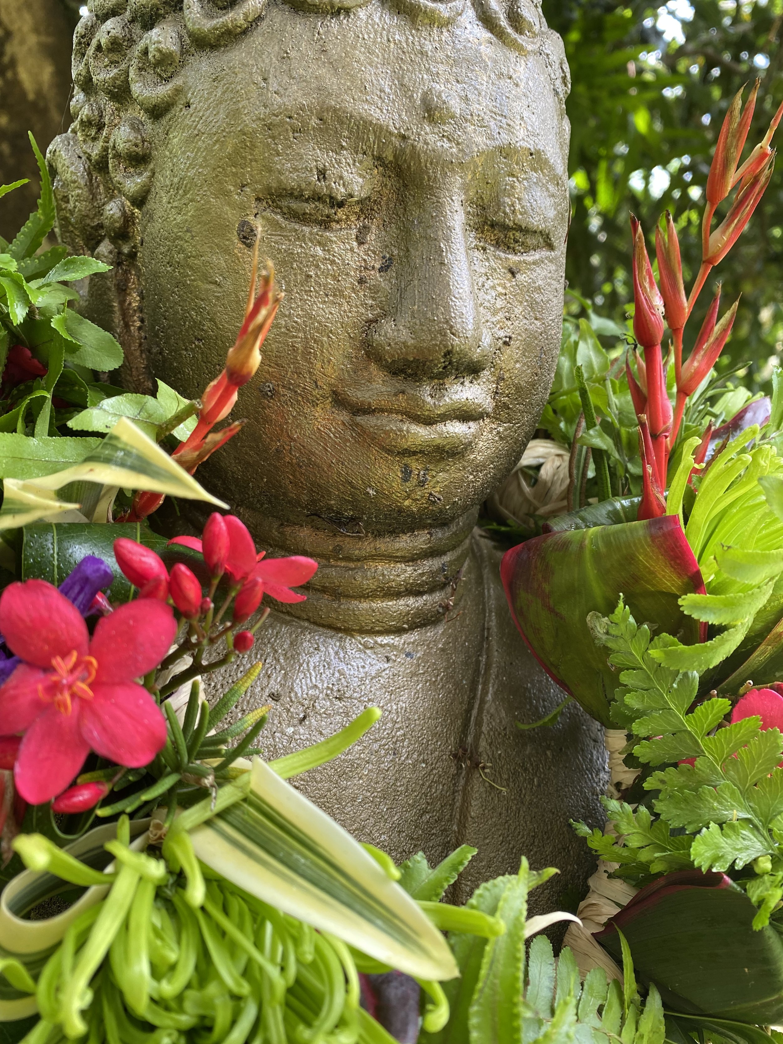 Life and harvests at Mauriora Gardens
