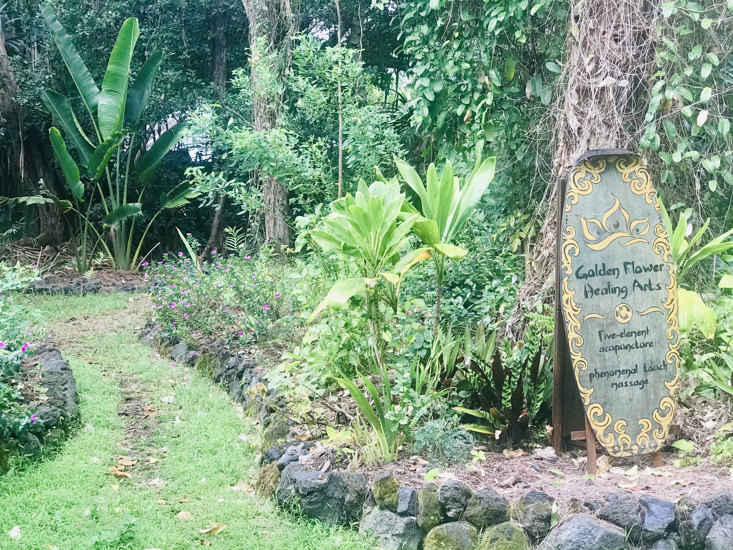 Life and harvests at Mauriora Gardens