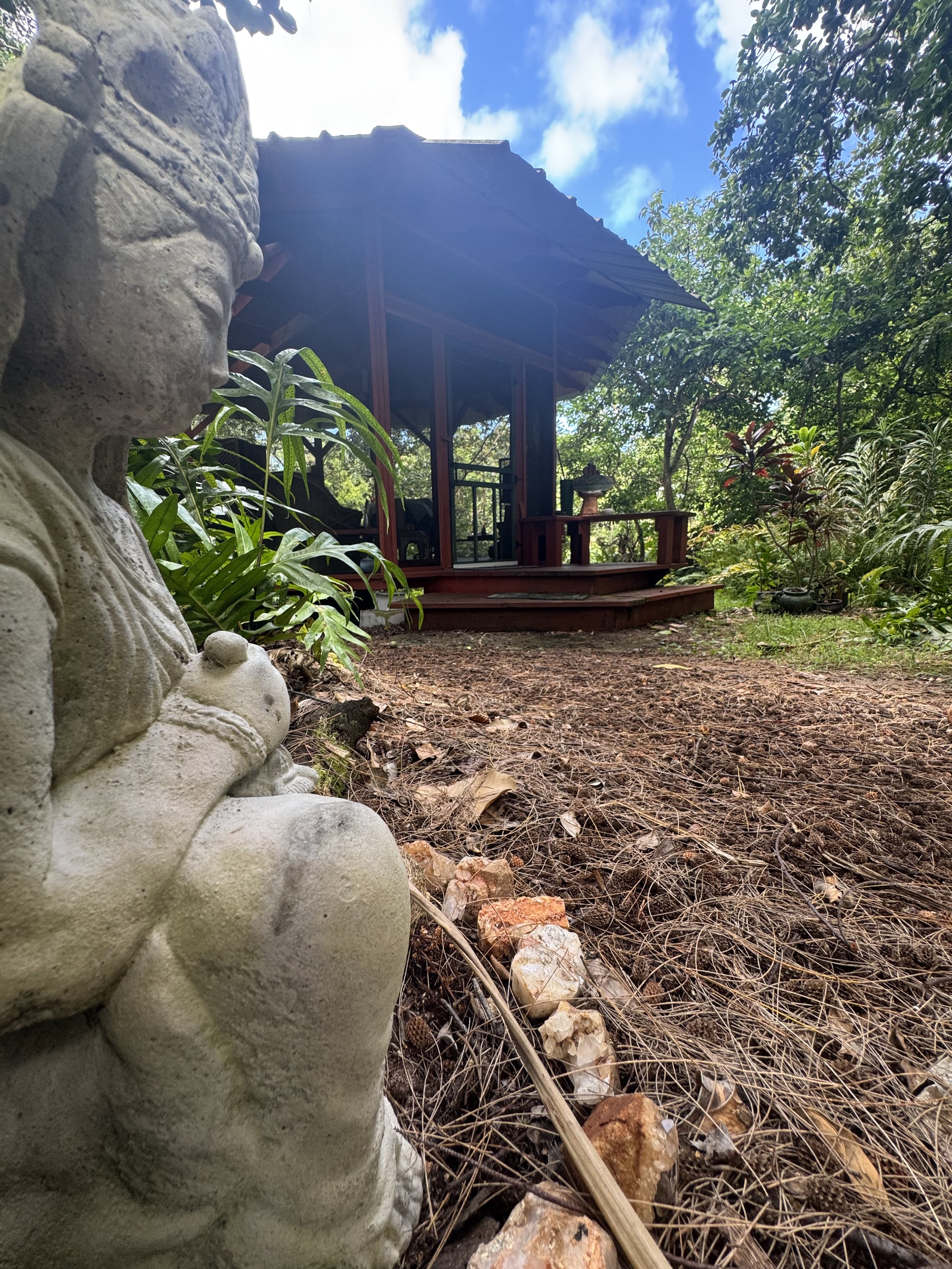 The forest sanctuary at Mauriora Gardens